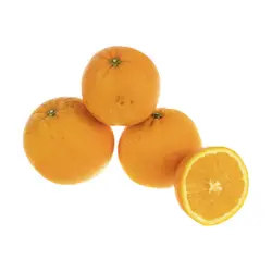 پرتقال تامسون شمال درجه یک  – 1 کیلوگرم