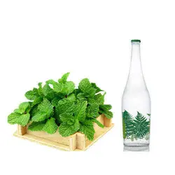 عرق  نعنا شميم بهار – 1لیتر