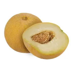 ملون درجه یک _یک عدد