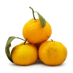 نارنگی فله  – 1 کیلوگرم