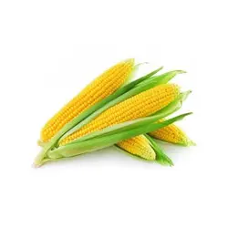 بلال  دست چین  درجه یک مقدار1000گرم