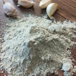 پودر سیر تازه