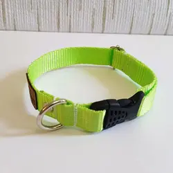 خرید قلاده گردنی سگNeck dog collar