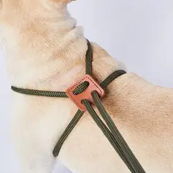 قلاده سگ ژرمنgerman dog collar