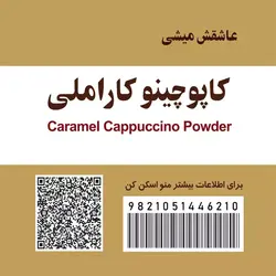 پودر کاپوچینو کاراملی 400 گرمی ننجون