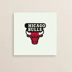 استیکر لوگوی تیم بسکتبال شیکاگو بولز 01 | 01 Chicago Bulls logo sticker