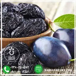 نهال آلو خرمایی