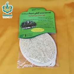 لیف لوفای بدن طرح بیضی