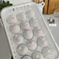 جا تخم مرغی