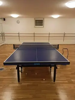 میز پینگ پنگ خارجی جوو CS Pro آلمانی 8 چرخ در نیدمدGewo CS Pro German Table Tennis Table