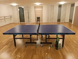 میز پینگ پنگ خارجی جوو CS Pro آلمانی 8 چرخ در نیدمدGewo CS Pro German Table Tennis Table