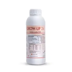 گرو آپ (GROW UP 24)