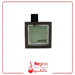عطر مردانه دسکوارد وود راکی