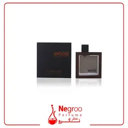 عطر مردانه دسکوارد وود راکی