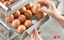 استند ریلی تخم مرغ