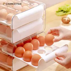 استند ریلی تخم مرغ