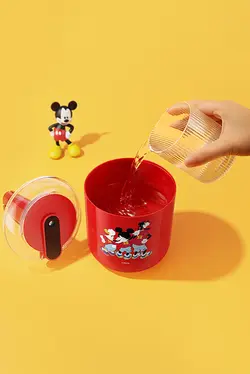 بخور سرد خانگی شارژی قابل حمل 1 لیتری ریمکس قابلیت اضافه نمودن گلبرگ و برگ معطر مدل BF143