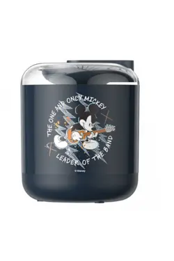 بخور سرد خانگی شارژی قابل حمل 1 لیتری ریمکس قابلیت اضافه نمودن گلبرگ و برگ معطر مدل BF143