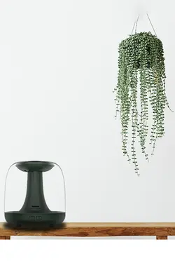 بخور شارژی 1.2 لیتری REMAX با قابلیت افزودن میوه وگلبرگ به مخزن دارای چراغ خواب مدلRT-A500 PRO