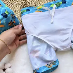 مايو پسرونه آستردار 2087