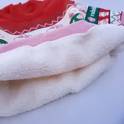 ست گل وخرگوش