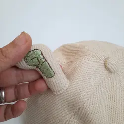 کلاه شاخ دار