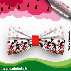 تلسریلدایی (پاپیون دورگردنی پسرانه،گیره مو و کلیپس) با تم دخترکفشدوزکی و گربه سیاه