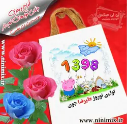 ساک زیبا کتان باطرح نوروزی اولین نوروز علیرضا جون وحیوان سال (خوک)