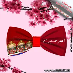 تلسرنوروزی (پاپیون دورگردنی پسرانه،گیره مو و کلیپس) که باطرح نوروزی و اسم(ملینا)