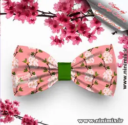 تلسرنوروزی (پاپیون دورگردنی پسرانه،گیره مو و کلیپس) طراحی شده با تم گل و شکوفه