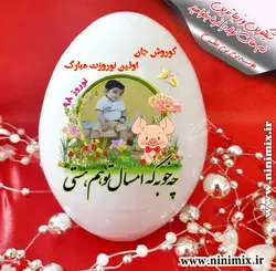 تخم مرغ سرامیکی با طرح نوروزی کوروش جان اولین نوروزت مبارک(چه خوبه که امسال توهم هستی)