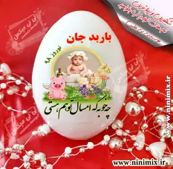 تخم مرغ سرامیکی با طرح چه خوبه که امسال توهم هستی(باربد جان)