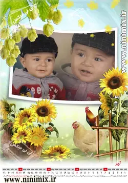 تقویم سیزده برگ دیواری (ماهانه) با تم نسترن
