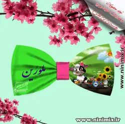 تلسرنوروزی (پاپیون دورگردنی پسرانه،گیره مو و کلیپس) طراحی شده با حیوان سال 1401 و سفره هفت سین