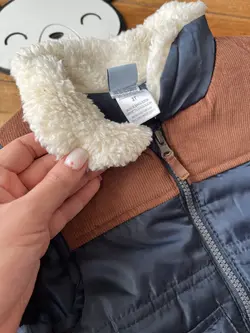 ژیله اسکیمو