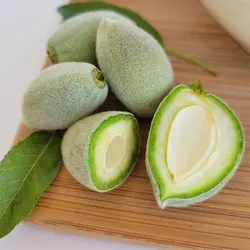 چاقاله بادام