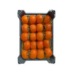 خرمالو درجه دو – یک کیلوگرم