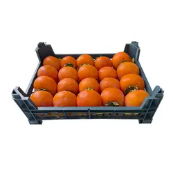 خرمالو درجه دو – یک کیلوگرم