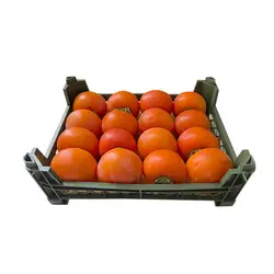 خرمالو درجه یک – یک کیلوگرم