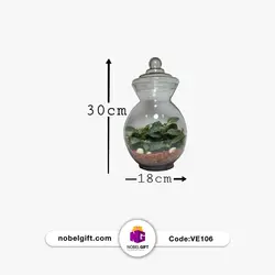 تراریوم بزرگ مدل کاج