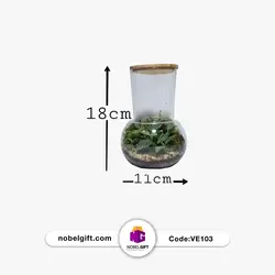 تراریوم کوچک مدل سرو