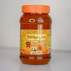 عسل بادام کوهی – 1 کیلوگرمHoney amygdolus