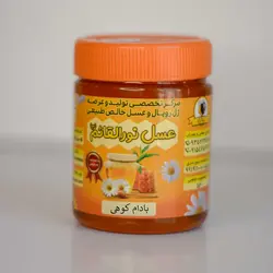 عسل بادام کوهی – نیم کیلوHoney amygdolus