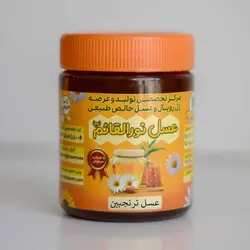 عسل ترنجبین – نیم کیلویی