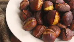 نهال شاه بلوط