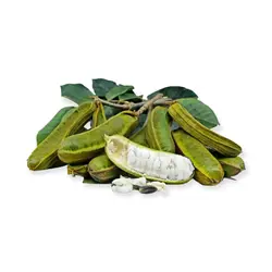 نهال لوبیا بستنی