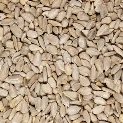 مغز تخمه آفتابگردان خام