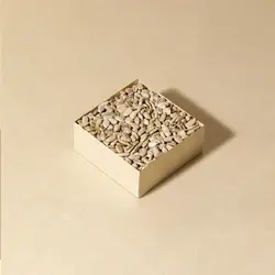 مغز تخمه آفتابگردان خام