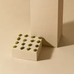 مغز تخمه کدو شور