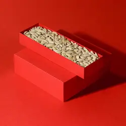 تخمه کدو ریز خام